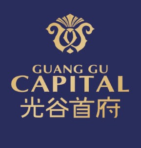 左岭科技城楼盘价格优势显著，湖北卓聚房地产经纪助力高效置业